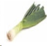 leek